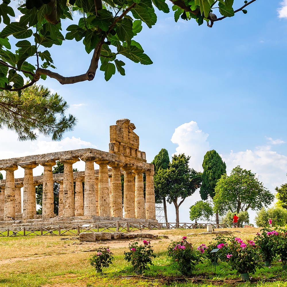 Traduzione in italiano:  Tour di un giorno a Paestum con autista e guida privata - Tour privati del sito di Paestum